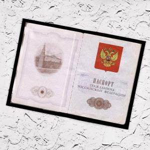 Обложка для паспорта Гербовая именная