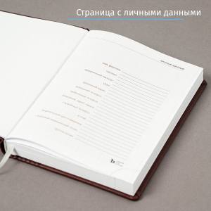Набор с ручкой Деловой стиль бордо