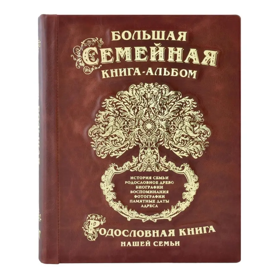 Большая семейная книга-альбом (коричневая кожа)