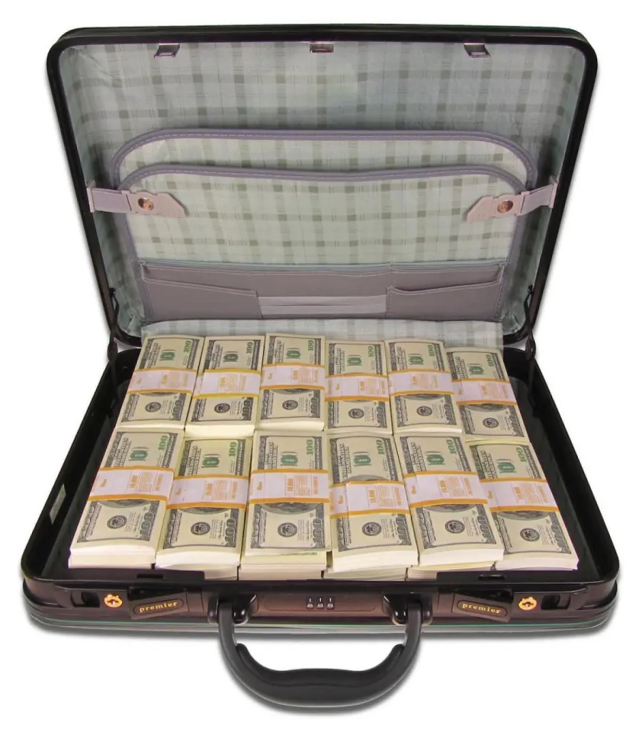 Один миллион долларов в кейсе