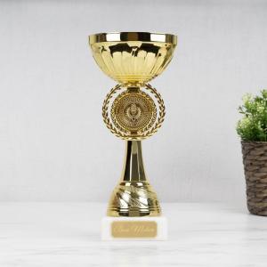 Кубок с индивидуальной гравировкой 