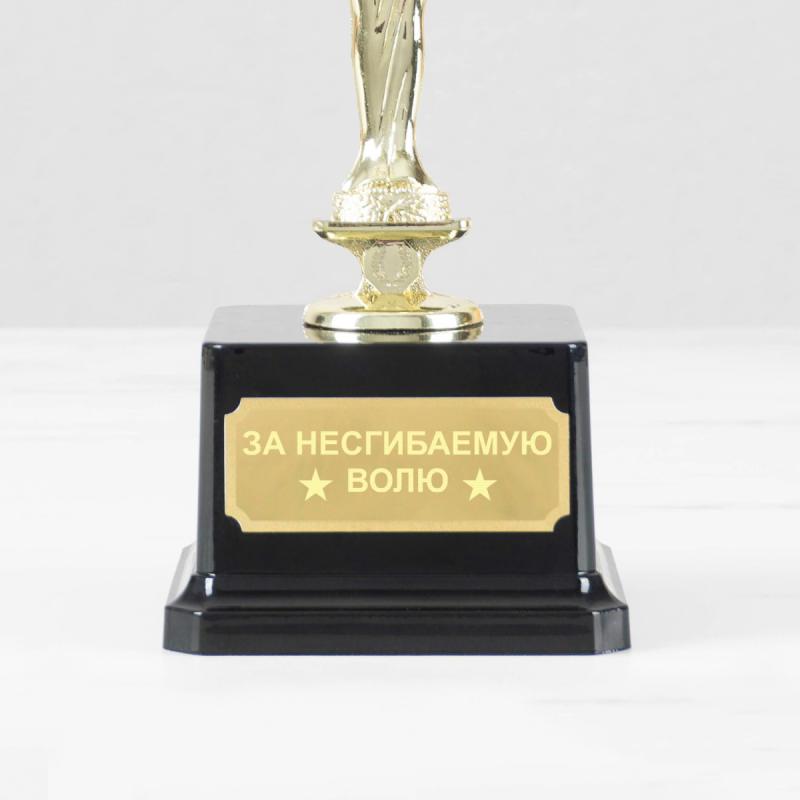 Статуэтка *За несгибаемую волю*