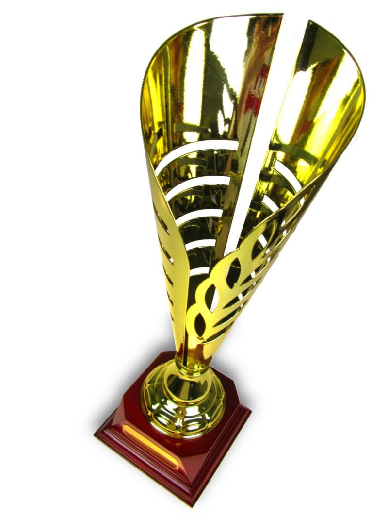 Кубок с индивидуальным дизайном 