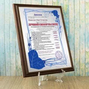 Подарочный диплом (плакетка) *Лучший свекор на свете*