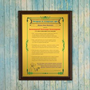 Подарочный диплом (плакетка) *Инструкция по эксплуатации мужа*