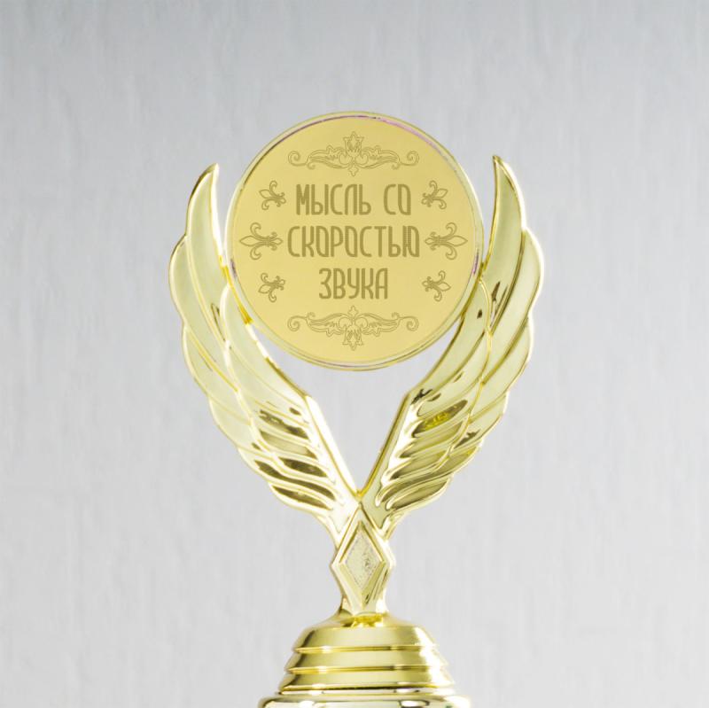 Наградная статуэтка *Мысль со скоростью звука*