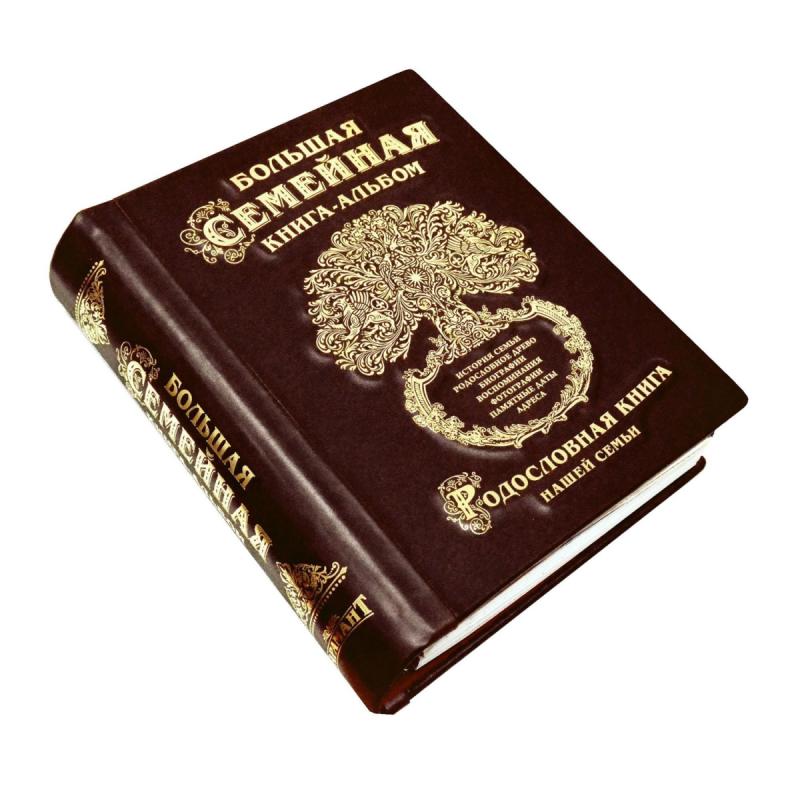 Большая семейная книга-альбом (темно-коричневая кожа)