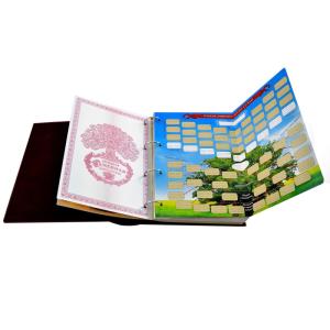 Большая семейная книга-альбом (коричневая кожа)