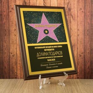 Подарочный диплом (плакетка) *Звезда на аллее славы*