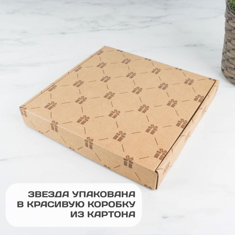 Фирменная Голливудская Звезда