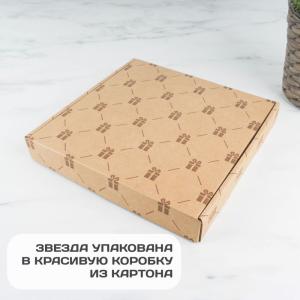 Фирменная Голливудская Звезда