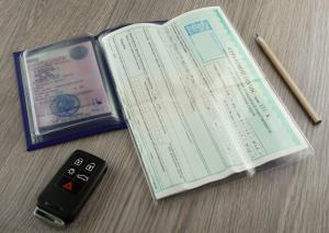 Обложка для автодокументов 