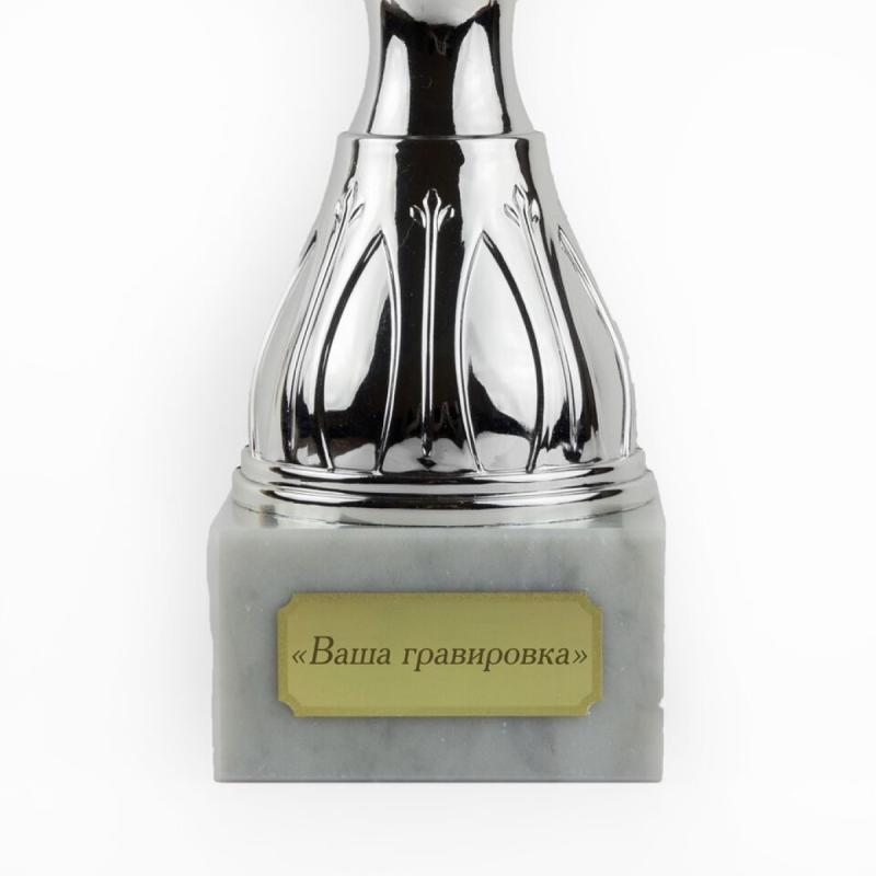 Наградной кубок «Профессионал»