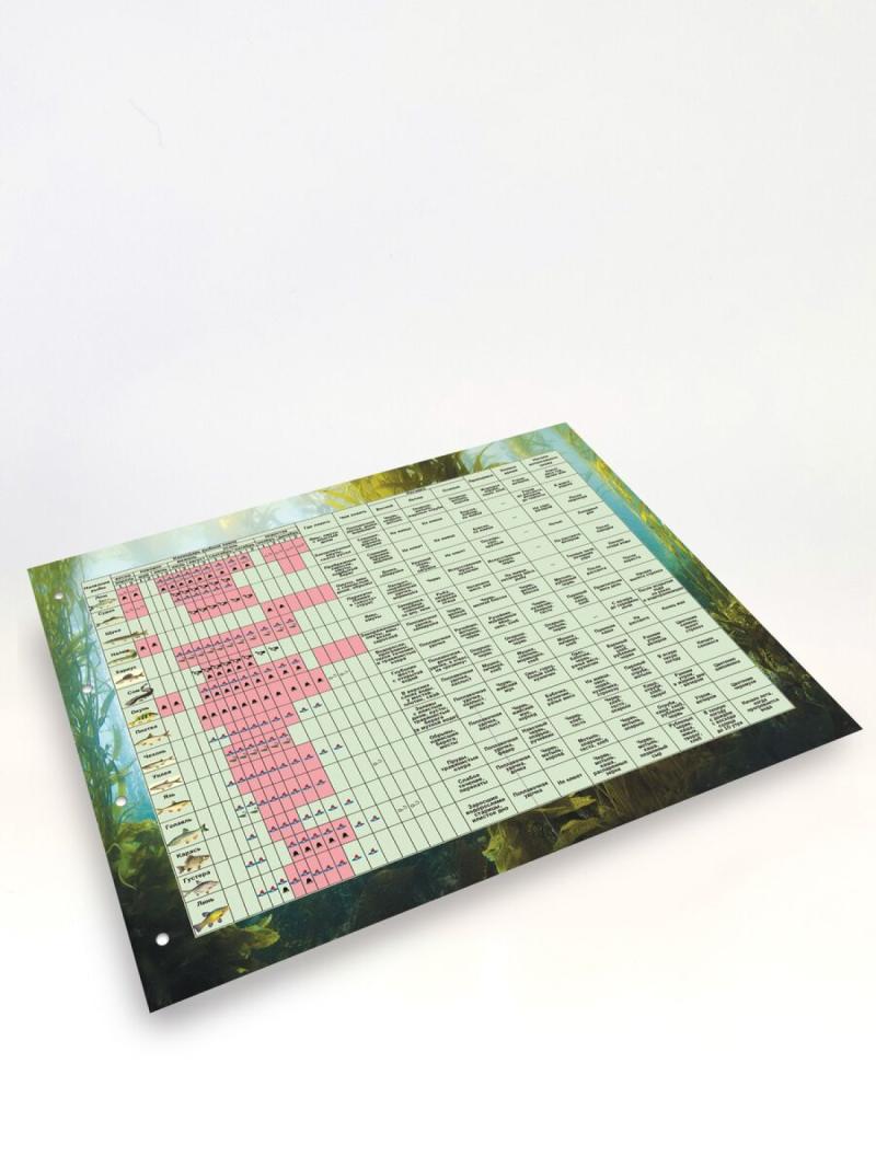 Трофейный альбом 